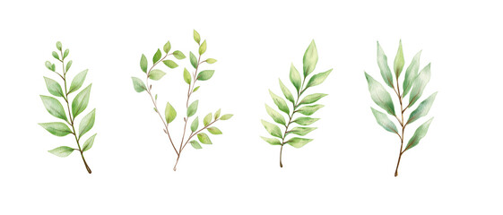 Hand drawn green leaves arranged in four distinct styles showcasing various shapes and textures in a delicate composition
