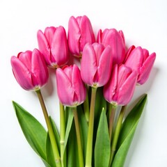 Obraz premium A bouquet of delicate pink tulips on a white background with space for text. International Women's Day