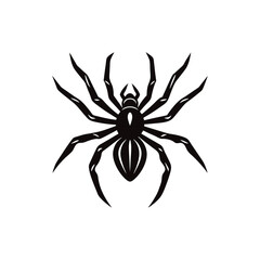 spider vector illustration