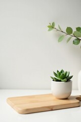 Minimalist Home Decor Featuring a Succulent in a White Pot on a Wooden Board