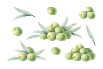 Olive fruits with green leaves piled and scattered watercolor isolated illustration set hand drawn in botanical realistic style for food production, bottle label, nature bio cosmetic, vegetarian menu.