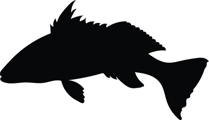 Silhouette sand bass fish isolated on white background, vector illustration