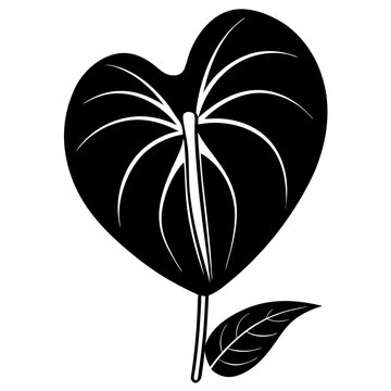 black anthurium flower silhouette on white clip art preview