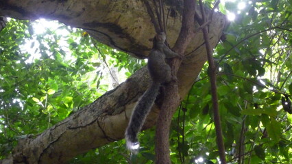 Cancún Tulum Rivera Maya México 