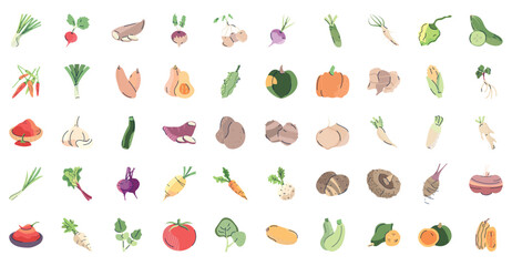 Set of vector icons of vegetables with white background