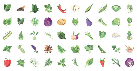 Set of vector icons of vegetables with white background
