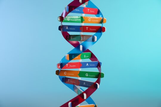 DNA structure model on light blue background, closeup