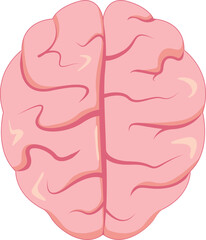 Human Brain Anatomy Design Vector Illustration
