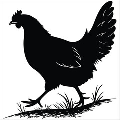 silhouette chicken image on white background