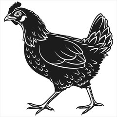 silhouette chicken image on white background