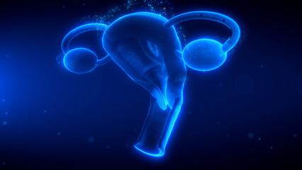 Futuristic holographic digital representation of the female reproductive system, including the uterus, fallopian tubes, and ovaries, glowing in blue neon with a sci-fi anatomy visualization concept.