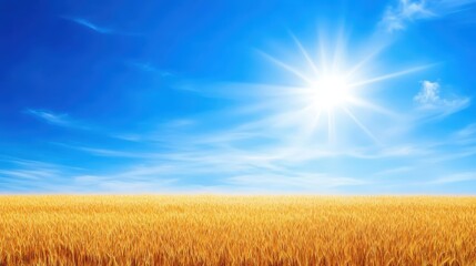 Obraz premium A stunning landscape featuring a golden wheat field under a bright blue sky. The sun shines brilliantly, creating a serene and inviting atmosphere perfect for nature lovers.