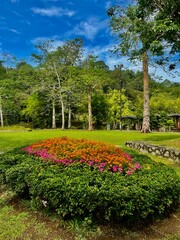 A flower garden landscape plant features vibrant, colorful blooms arranged in aesthetically pleasing patterns, enhancing outdoor spaces.