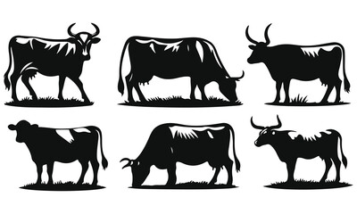 cows vector 
