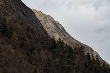 Majestic mountain landscape alpine region nature photography forested terrain side view natural beauty