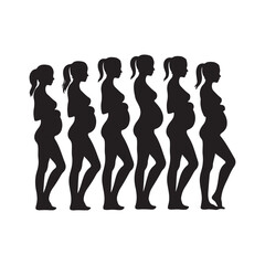 silhouette, pregnancy stages, black and white, minimalist design, medical illustration