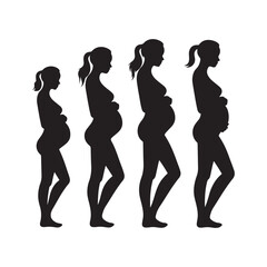 silhouette, pregnancy stages, black and white, minimalist design, medical illustration