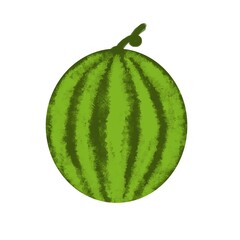 Illustration of watermelon with white background. 