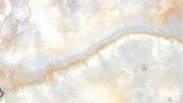 Elegant mother of pearl shell with pink white  gold hues ideal for luxury jewelry  decor