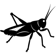 Grasshopper silhouette vector on a white background