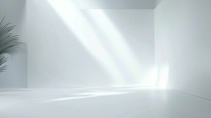 Serene Minimalist Room with Soft Light and Plant Accent