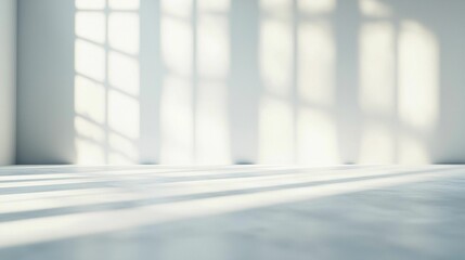 Bright Shadows and Soft Light in Minimalist Space