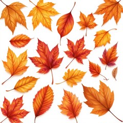 Fototapeta premium Autumn Leaves Illustrations, A Beautiful Collection of Hand-Drawn Fall Foliage, Featuring Maple, Oak, and Birch Leaves in Warm, Earthy Tones on a White Background