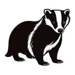 badger vector illustration