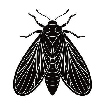 brown planthopper vector illustration