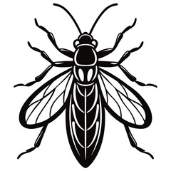 european corn borer vector illustration