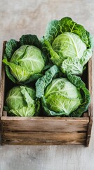 Fototapeta premium fresh cabbage in a wooden box