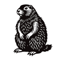 groundhog vector illustration