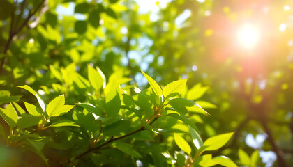 Sunlit Green Leaves – Nature’s Beauty in a Lush Forest Environment