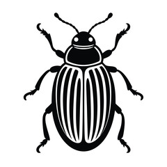 mexican bean beetle vector illustration