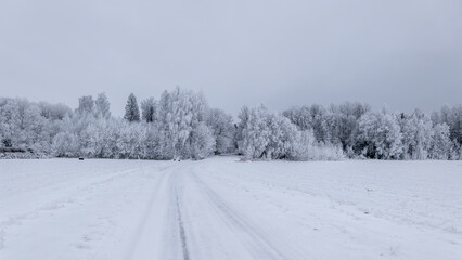 Obraz premium Cold winter landscape with snow and frost
