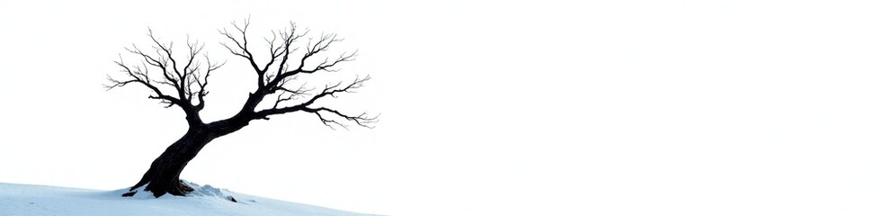 Fototapeta premium Dead tree branch on white background isolated, winter, landscape