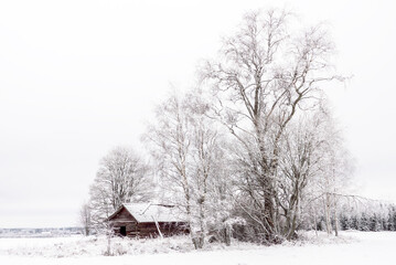 Cold winter landscape with snow and frost