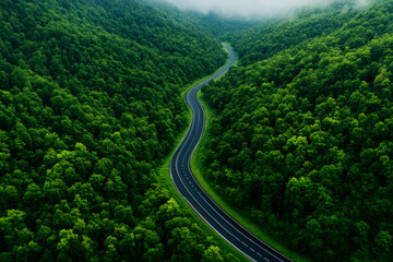 Fototapeta premium Winding asphalt highway through lush green forests scenic viewpoint nature photography tranquil environment capturing serene landscapes