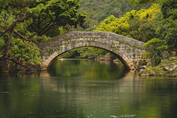 Fototapeta premium Serene stone bridge over tranquil waters surrounded by lush greenery in a tropical rainforest setting