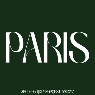 Unique elegant curvy alphabet display font vector illustration. Decorative paris typeface