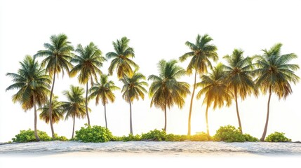 Palm trees swaying gently on a sandy beach under a clear blue sky with ocean waves in the background