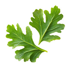 Fresh green arugula leaves with vibrant color and texture, perfect for salads and garnishes. These leaves add peppery flavor to dishes, enhancing culinary creations