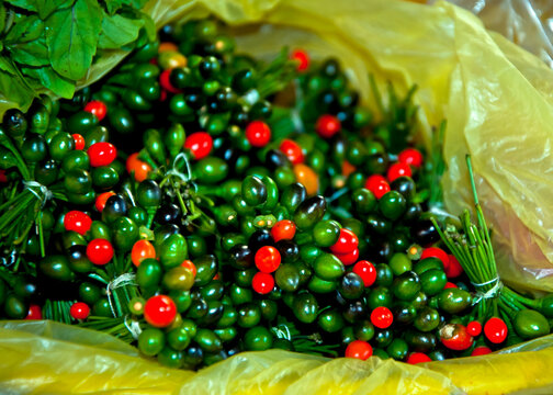Piquin chili "Capsicum annuum" for sale in the markets of Nicaragua. 