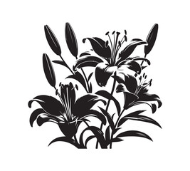 lilies vector silhouette style with white background
