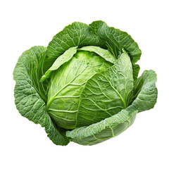 Obraz premium Fresh green cabbage with vibrant leaves, perfect for salads and cooking. This nutritious vegetable adds flavor and texture to various dishes