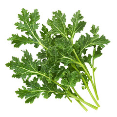 Fresh kale leaves with vibrant green color and textured edges, perfect for healthy dishes and salads. This nutritious leafy green is great addition to any meal