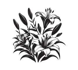 lilies vector silhouette style with white background