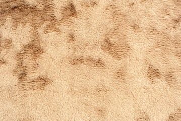 Texture of dense yellow fabric for tailoring. Canvas. Textile. Material. Velour