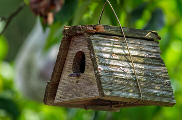 A rustic wooden birdhouse showing signs of age and wear, hanging in a lush green garden with sunlight filtering through the trees.