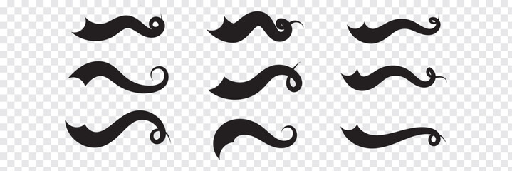 Swoosh, swash underline stroke set. Hand drawn swirl swoosh underline calligraphic element. Vector illustration. Variety Design. Eps10